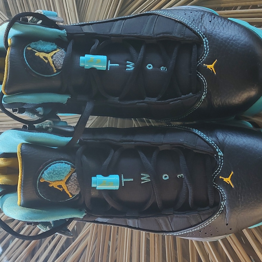 Jordan Rings 6